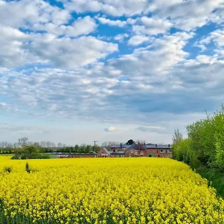 „waschkoeoek“ - Hof Muehlenkoppel Apartman Hasselberg